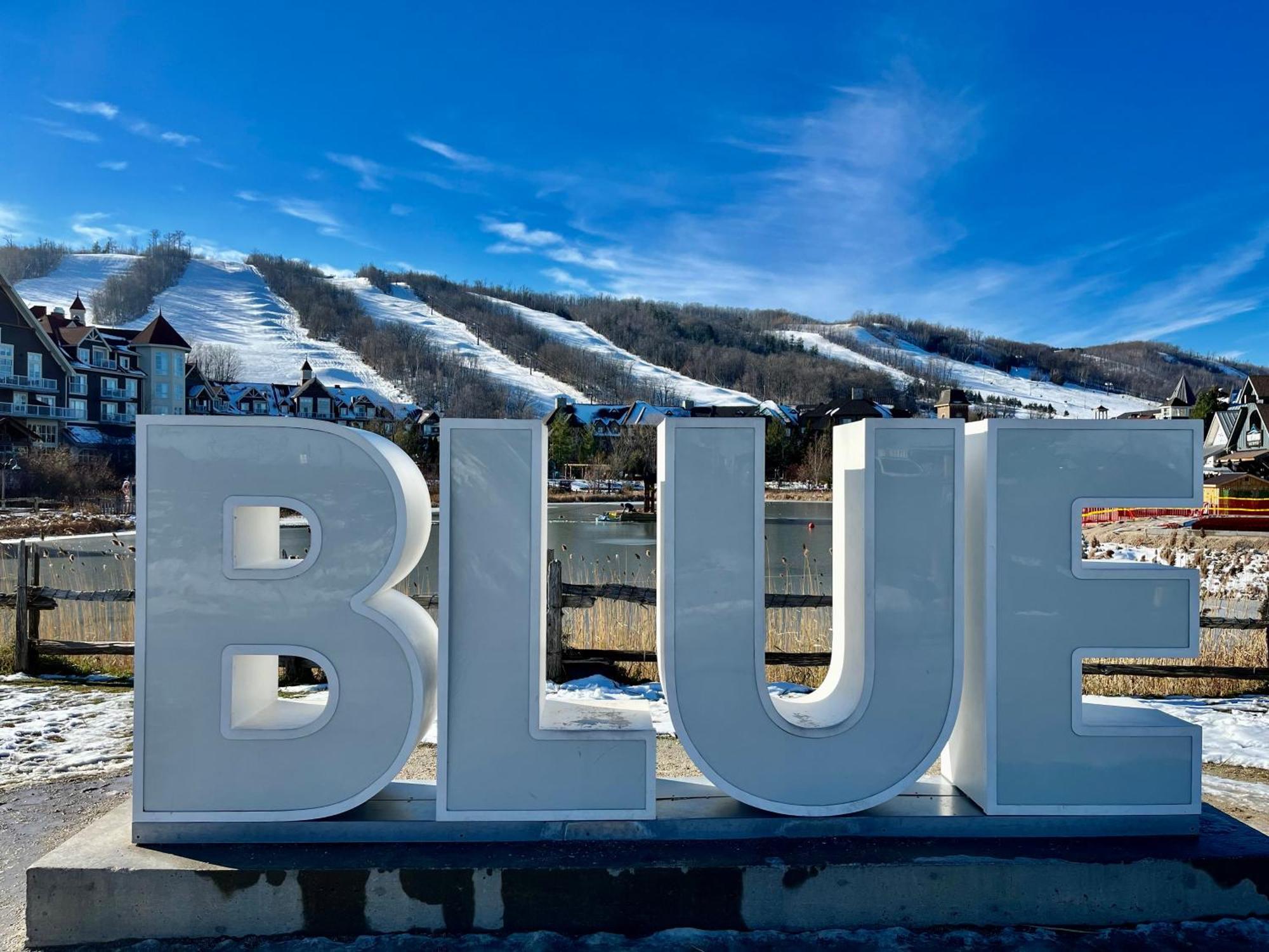 Blue Mountain Studio Oasis Blue Mountains Exterior photo
